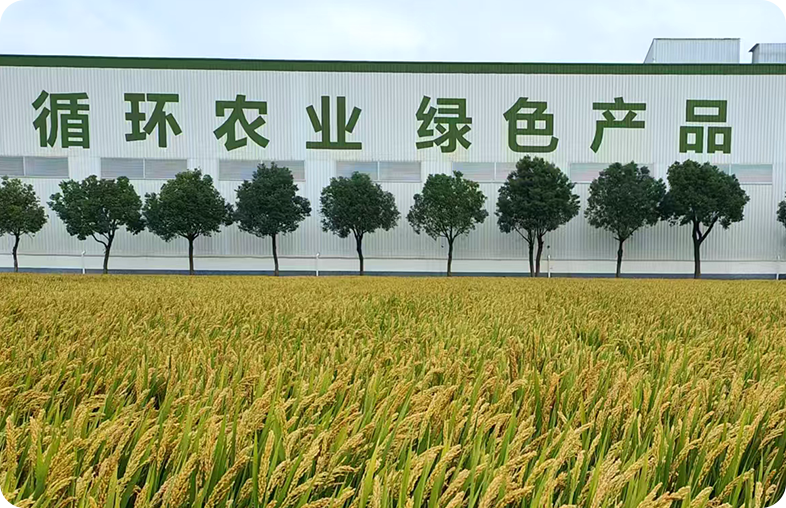 田宇生物科技